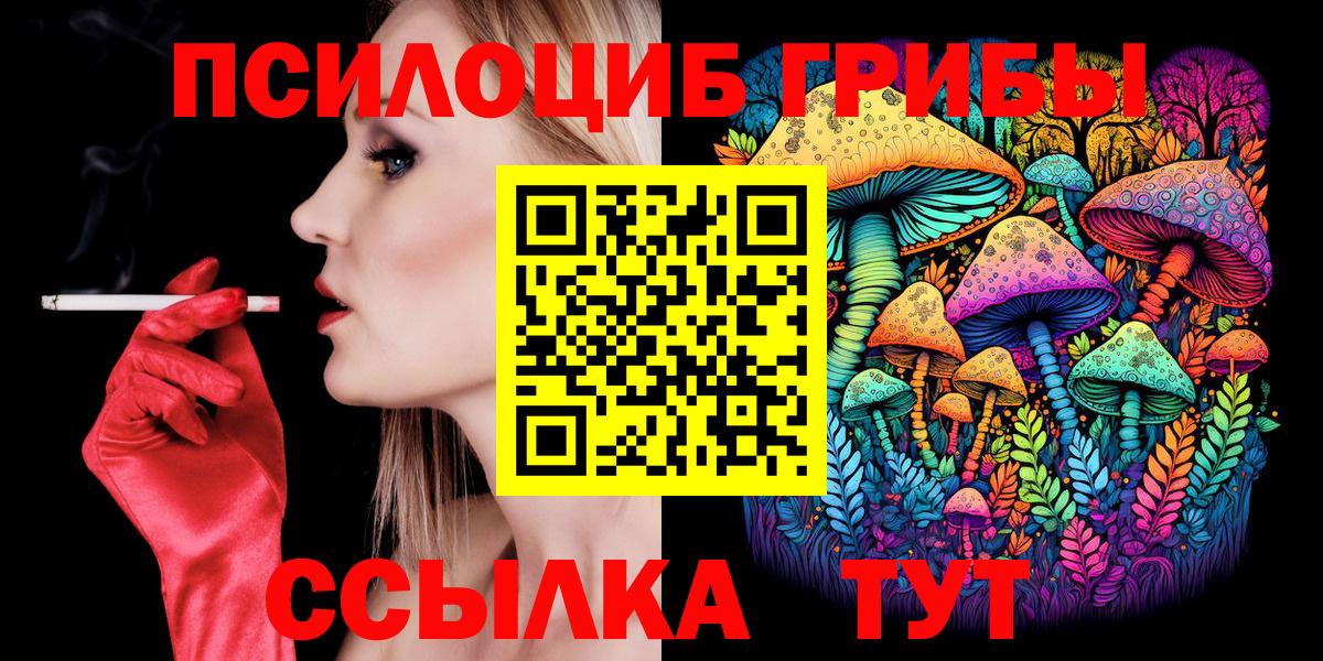 Псилоцибиновые грибы GOLDEN TEACHER Скопин