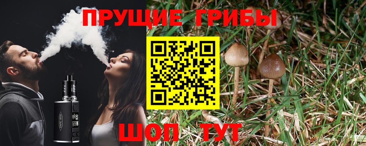 Скопин  Псилоцибиновые грибы MAGIC MUSHROOMS  как найти закладки  Галлюциногенные грибы мицелий  Вход с VPN 